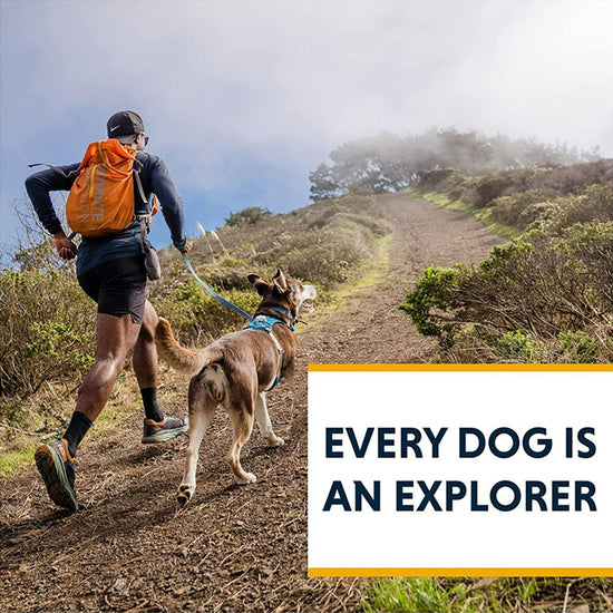 ruffwear-hi-light-harness-salmon-pink
