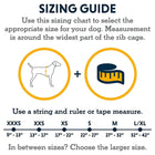 Ruffwear Hi & Light Harness Lichen Green - Zigly