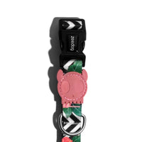 Zee Dog Mahalo Collar