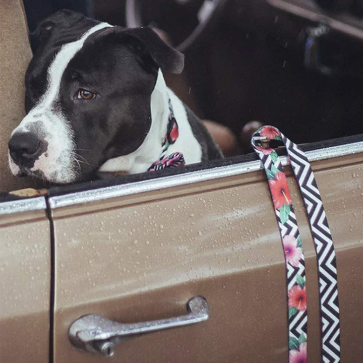 Zee Dog Mahalo Leash
