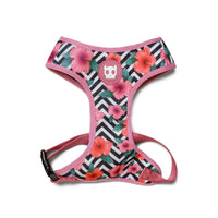 Zee Dog Mahalo Air Mesh Harness