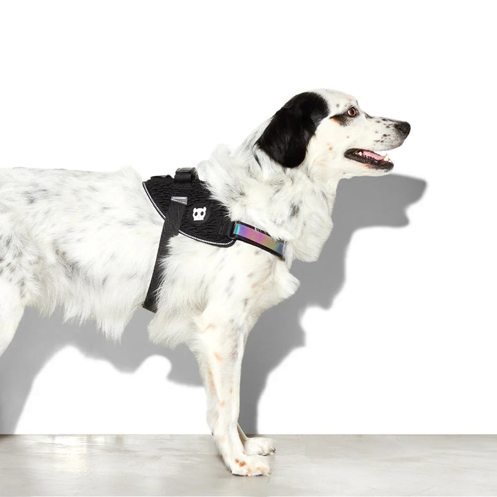 Zee Dog Fly Harness Gotham