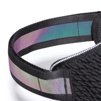 Zee Dog Fly Harness Gotham