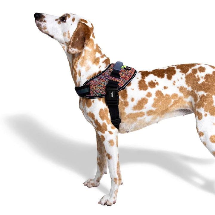Zee Dog Fly Harness Vortex