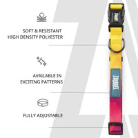 Zoomiez Solar Printed Dog Collar