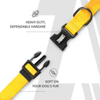 Zoomiez Solar Printed Dog Collar