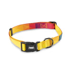 Zoomiez Solar Printed Dog Collar