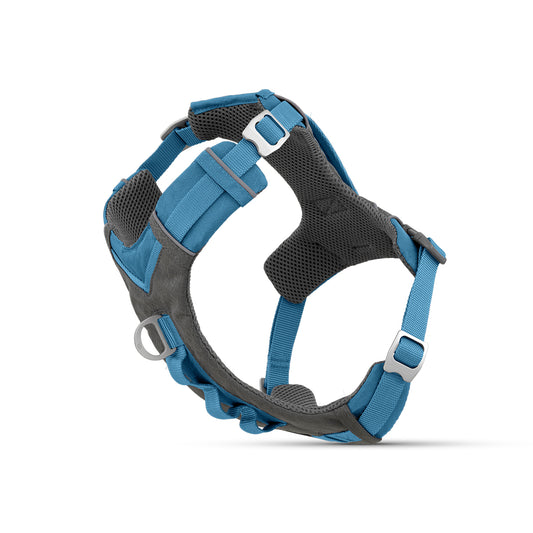 Kurgo Joyful Air Dog Harness - Blue
