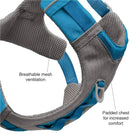 Kurgo Joyful AirDog Harness - Red - Zigly
