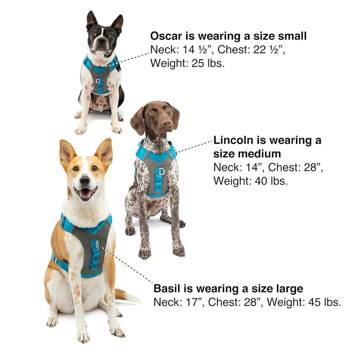 Kurgo Joyful AirDog Harness - Red