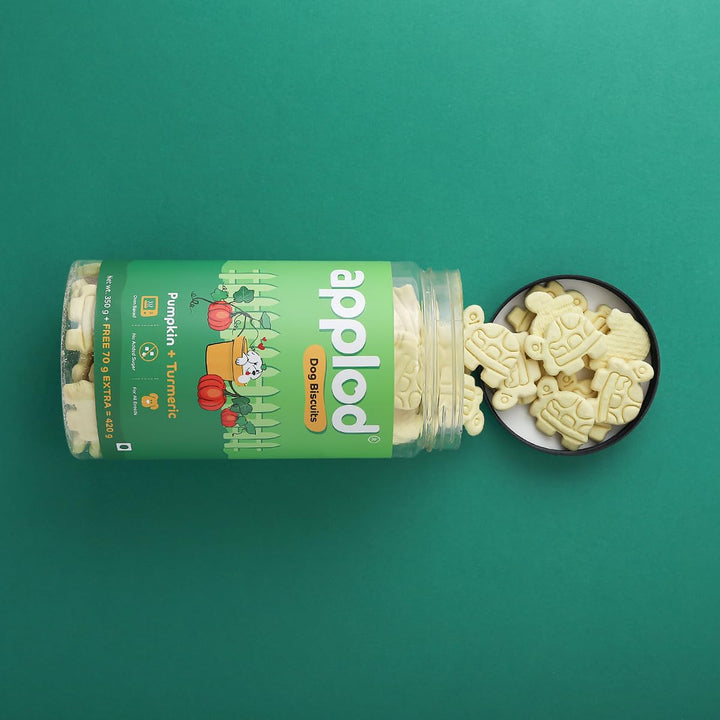 Applod Pumpkin Dog Biscuit with Turmeric