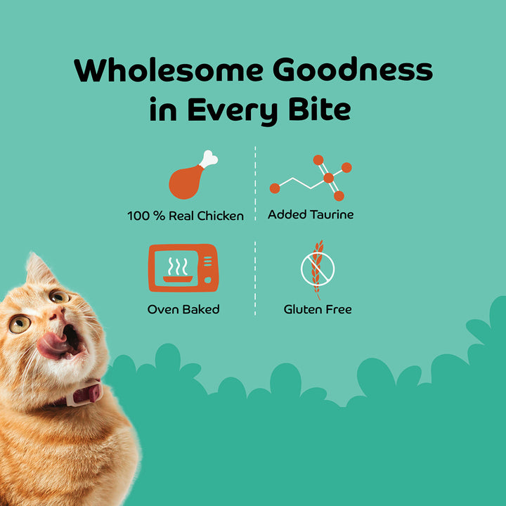 Applod Chicken Shreds Soft Cat Treat - 35g
