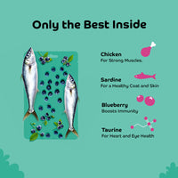 Applod Sardine with Blueberry Cat Treat - 35g