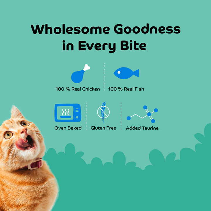 Applod Shrimp with Pumpkin Cat Treat - 35g