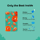 Applod Shrimp with Pumpkin Cat Treat - 35g - Zigly