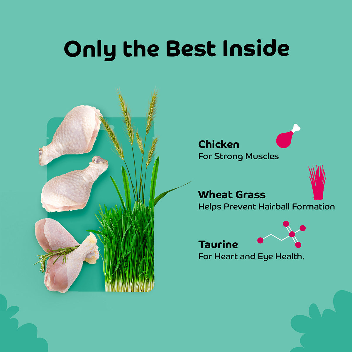 Applod Chicken with Wheat Grass Cat Treat - 35g