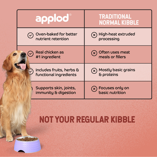 Applod Chicken & Vegetables with Apple & Pomegranate Dry Dog Food for Adult Dogs