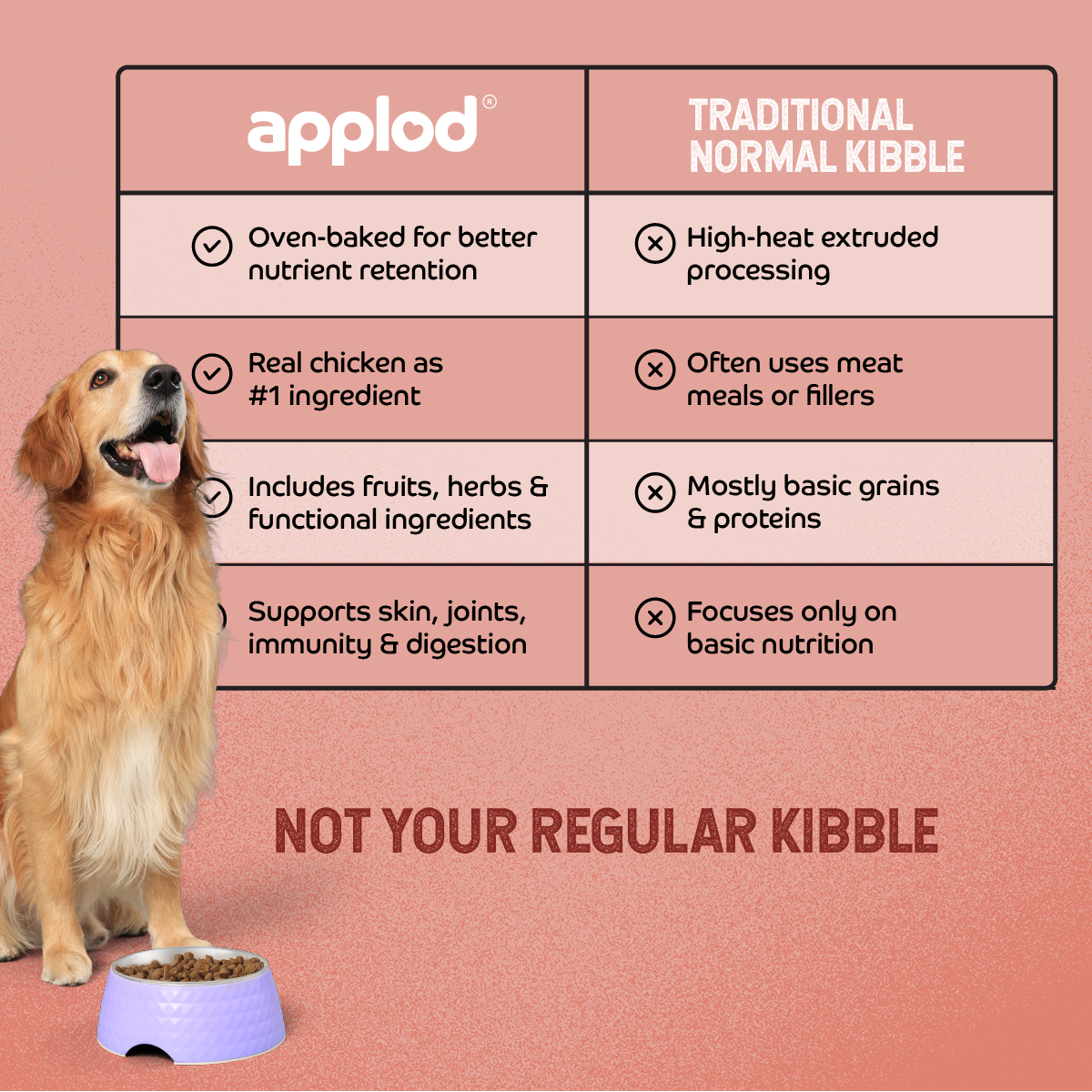 Applod Chicken & Vegetables with Apple & Pomegranate Dry Dog Food for Adult Dogs