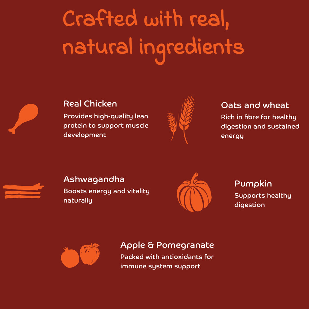 Applod Chicken & Vegetables with Apple & Pomegranate Dry Dog Food for Adult Dogs