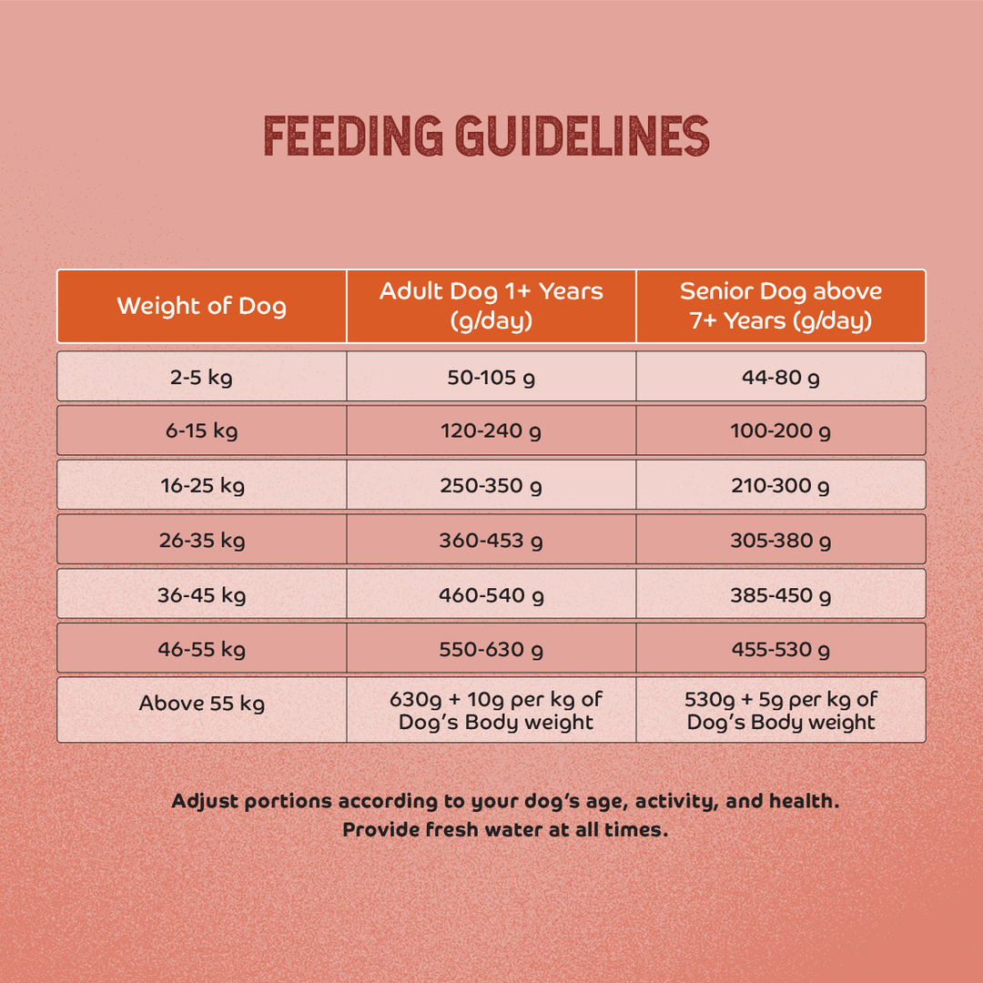 Applod Chicken & Vegetables with Apple & Pomegranate Dry Dog Food for Adult Dogs