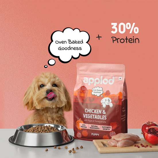 Applod Chicken & Vegetables with Apple & Pomegranate Dry Dog Food for Puppies
