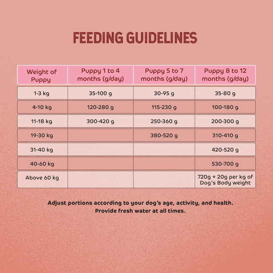 Applod Chicken & Vegetables with Apple & Pomegranate Dry Dog Food for Puppies