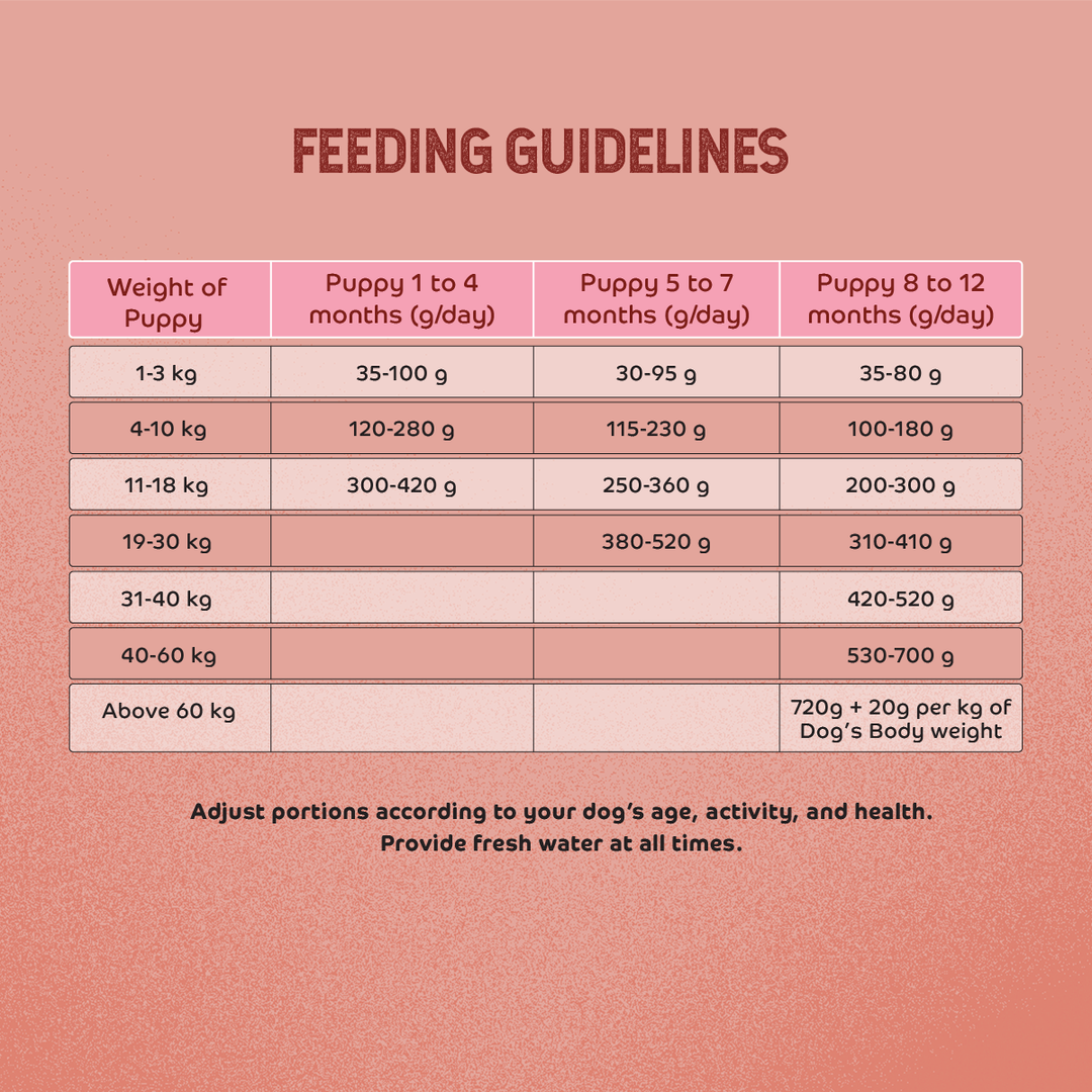 Applod Chicken & Vegetables with Apple & Pomegranate Dry Dog Food for Puppies