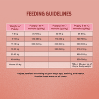 Applod Chicken & Vegetables with Apple & Pomegranate Dry Dog Food for Puppies