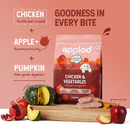Applod Chicken & Vegetables with Apple & Pomegranate Dry Dog Food for Puppies