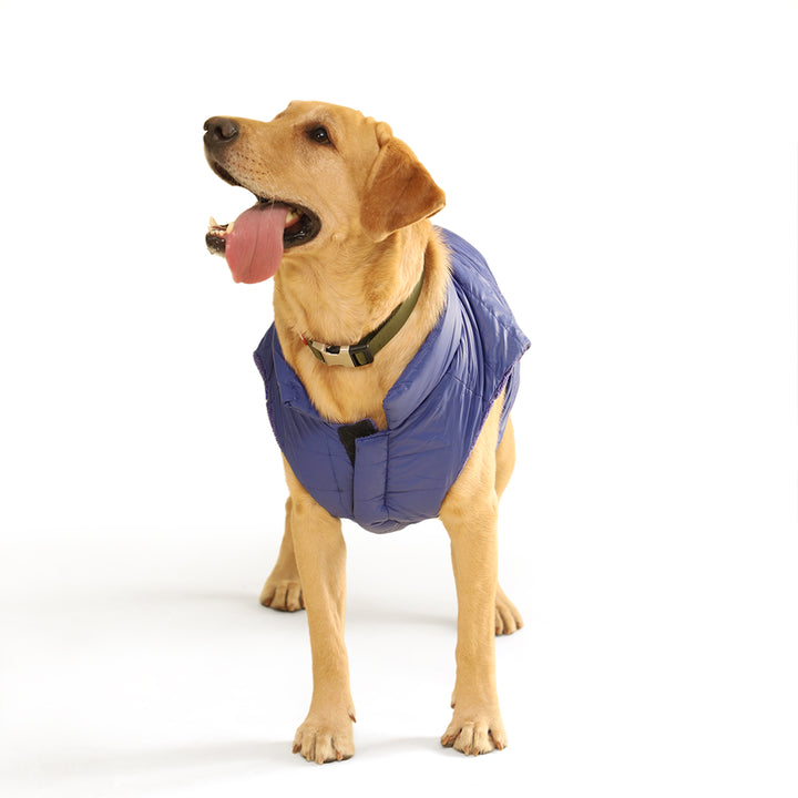 ZL Reversible Celestial Puffer Dog Jacket