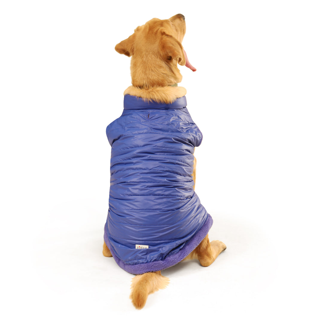 ZL Reversible Celestial Puffer Dog Jacket