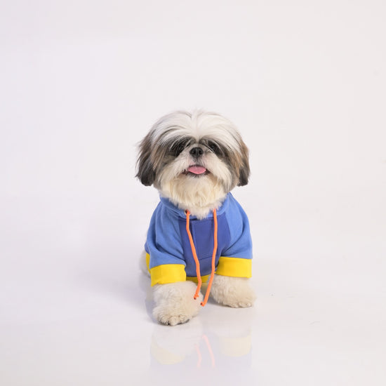 zl-sandy-vibrant-warmer-hoodie-for-dogs