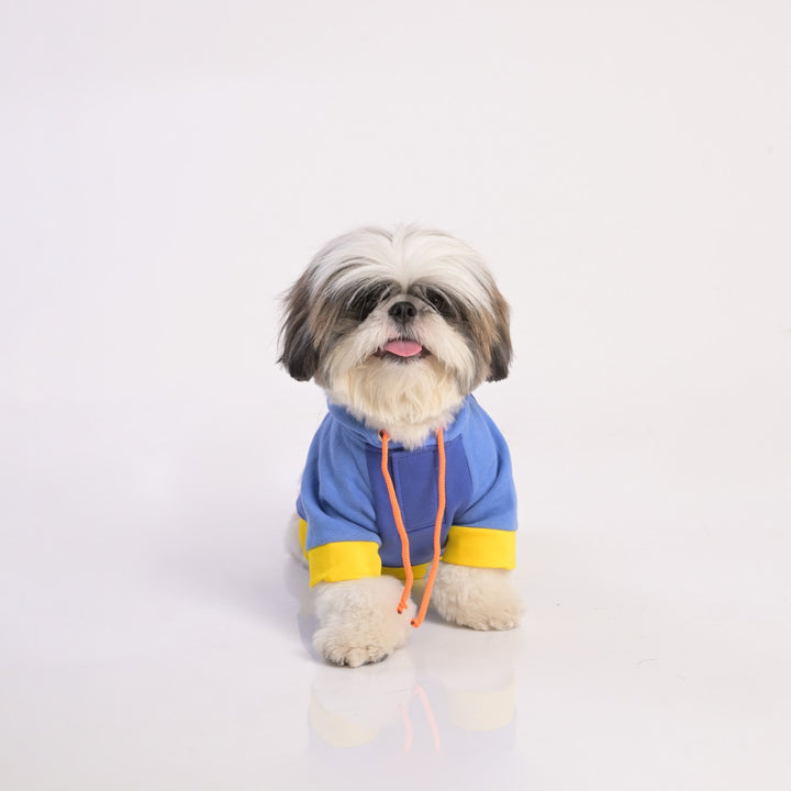 ZL Sandy Vibrant Warmer Hoodie for Dogs