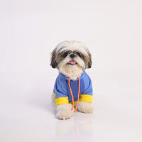 ZL Sandy Vibrant Warmer Hoodie for Dogs