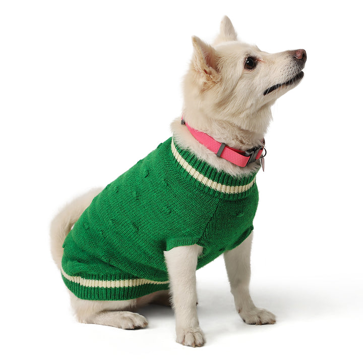 ZL Wonderland Dog Sweater