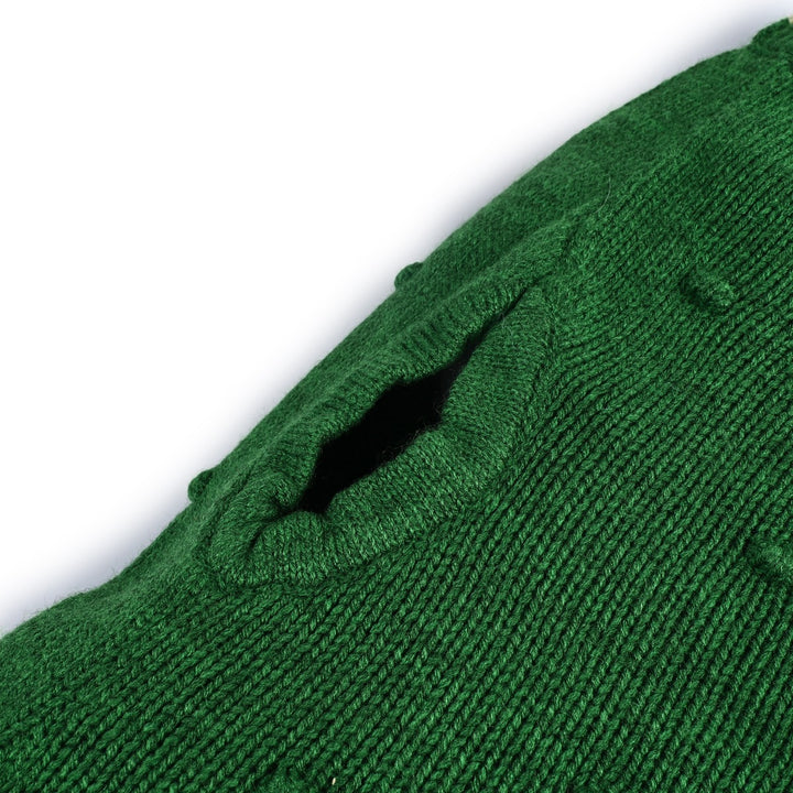 ZL Wonderland Dog Sweater