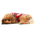 ZL Psychedelic Heart Dog Sweater - Zigly