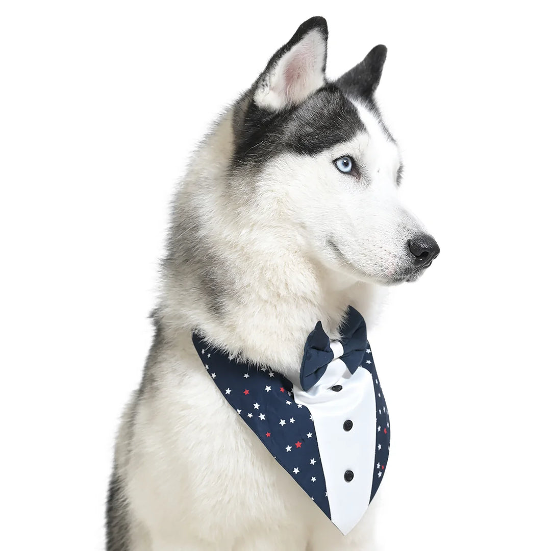 ZL Classic Starlit Sailor Dog Bandana-S-(30cm)