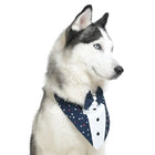 ZL Classic Starlit Sailor Dog Bandana-S-(30cm) - Zigly