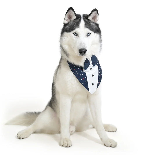 ZL Classic Starlit Sailor Dog Bandana-S-(30cm)