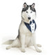 ZL Classic Starlit Sailor Dog Bandana-S-(30cm)