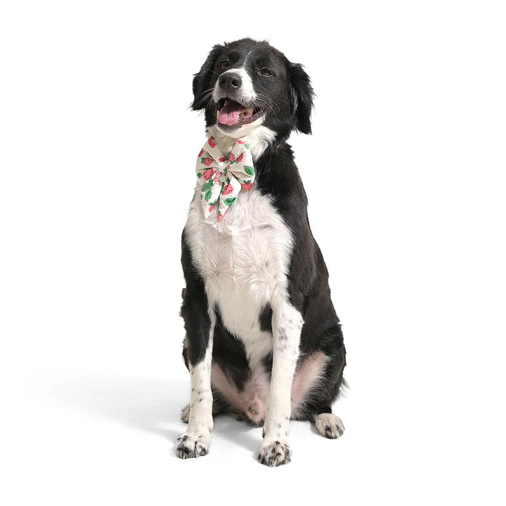 ZL Strawberry Dream Ribbon Bow-Tie For Dog Days-M-(9cm)