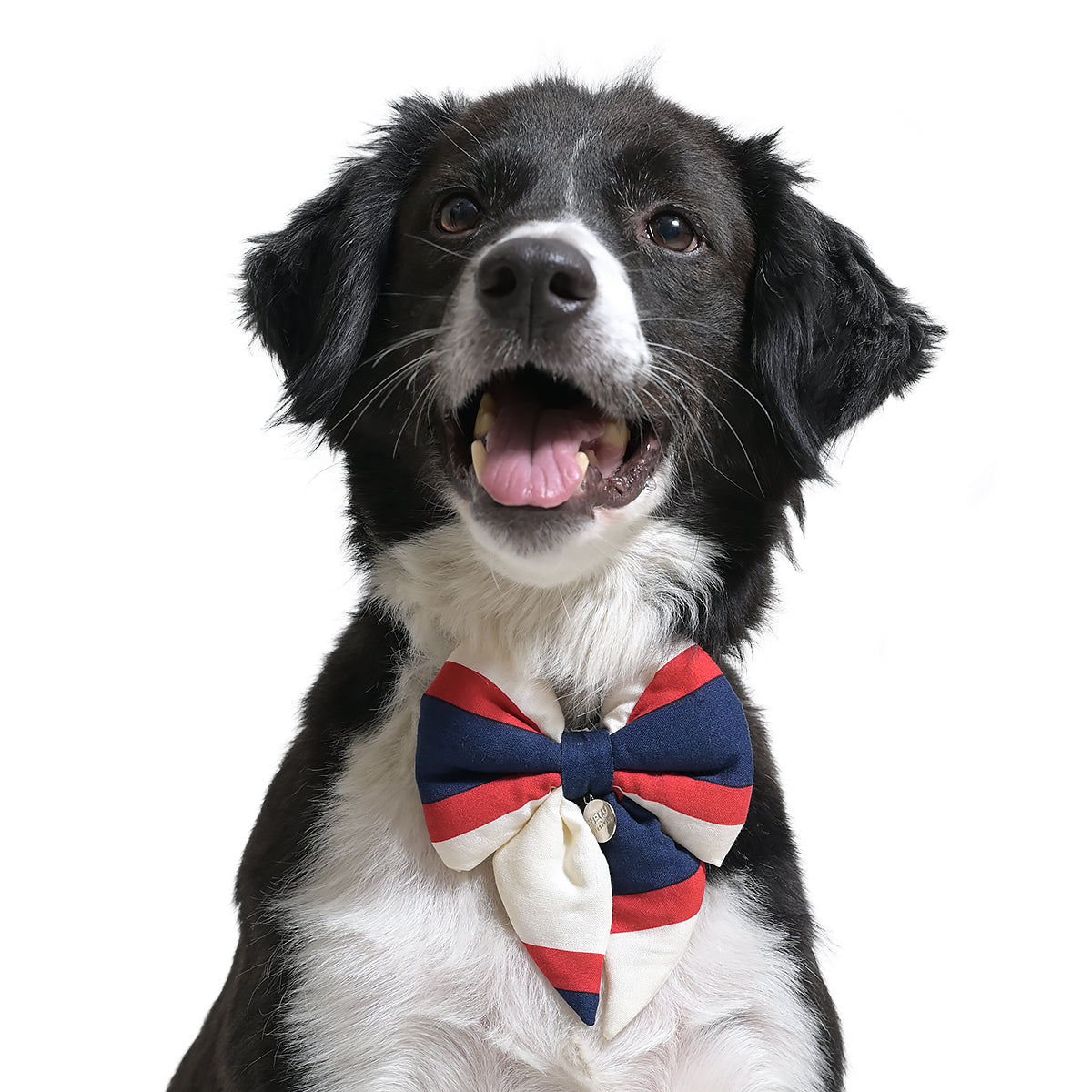 ZL Classic Sailor Stripe Bow-Tie For Dog Days