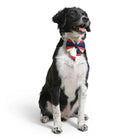 ZL Classic Sailor Stripe Bow-Tie For Dog Days - Zigly