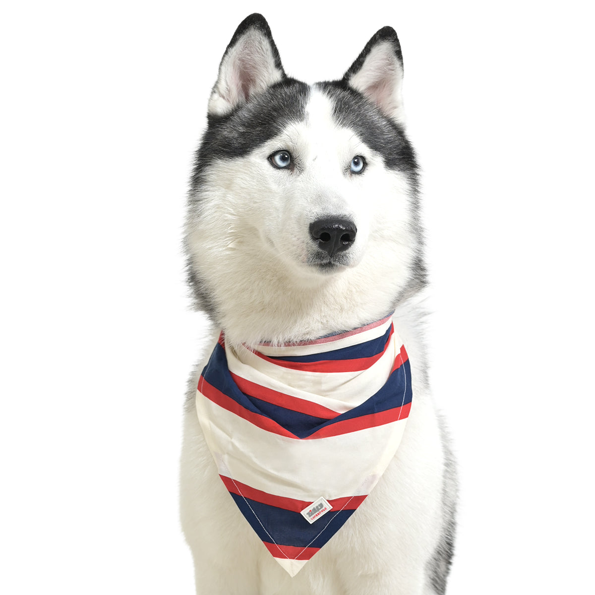 ZL Classic Sailor Stripe Bandana For Dog Days