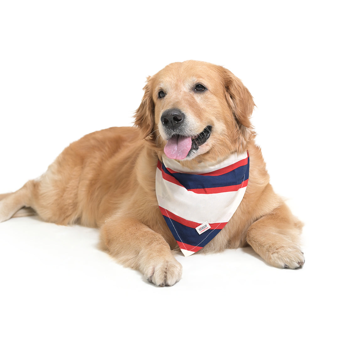 ZL Classic Sailor Stripe Bandana For Dog Days