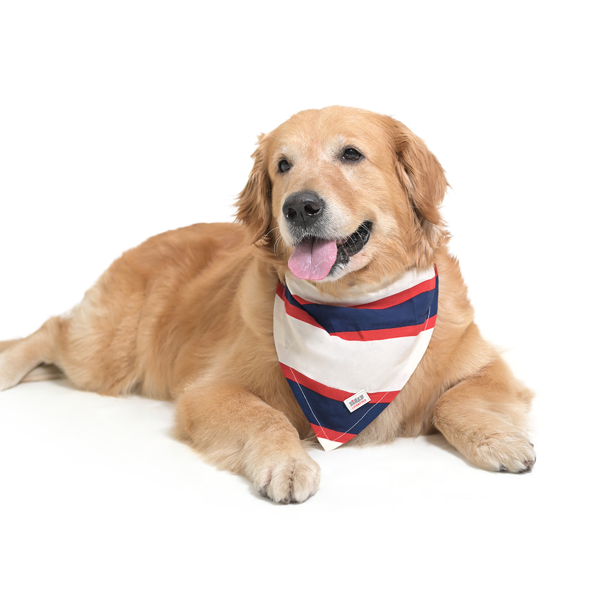 ZL Classic Sailor Stripe Bandana For Dog Days