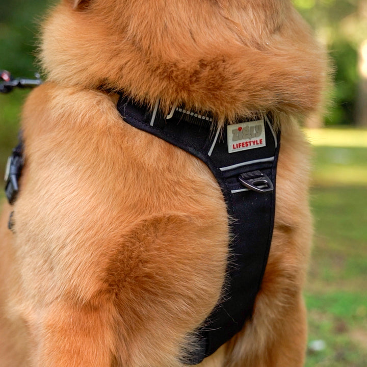 Zigly Lifestyle Shadow Guard Adjustable Padded Harness Black