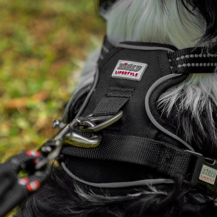 Zigly Lifestyle Shadow Guard Adjustable Padded Harness Black