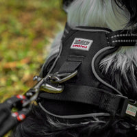 Zigly Lifestyle Shadow Guard Adjustable Padded Harness Black